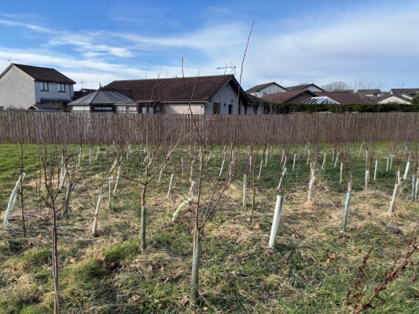 Action for Climate and Environment Newburgh-24